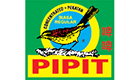 Pipit